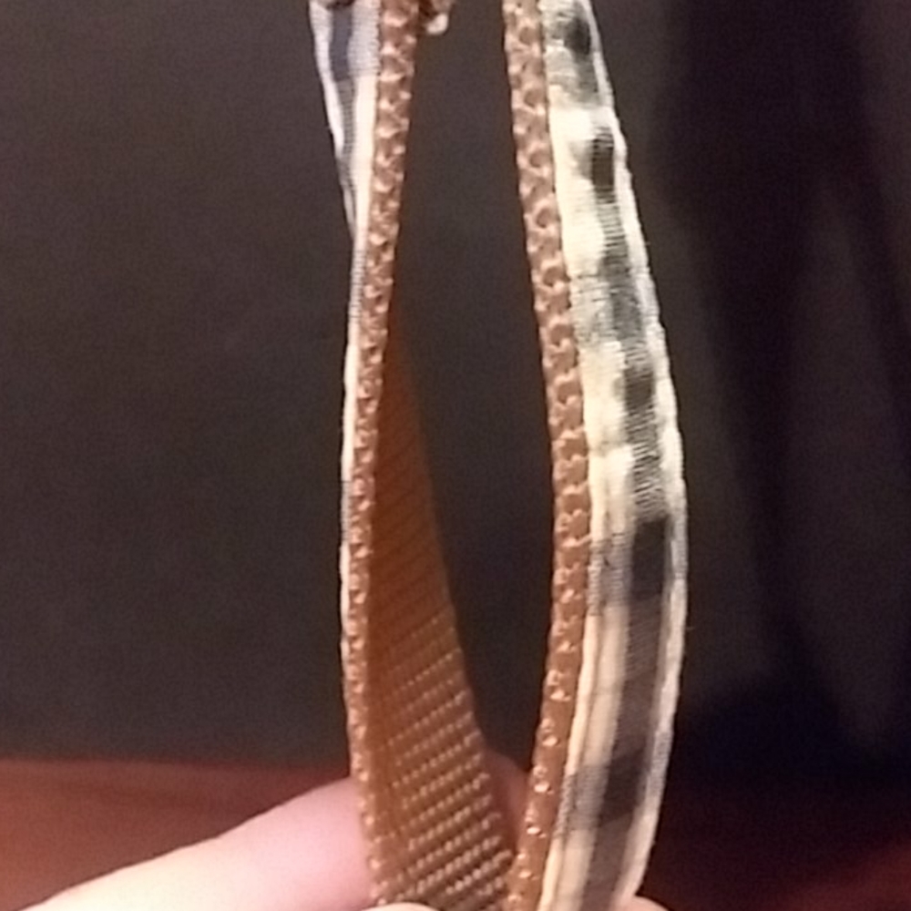 Dog Collar - Picture 5 of 7